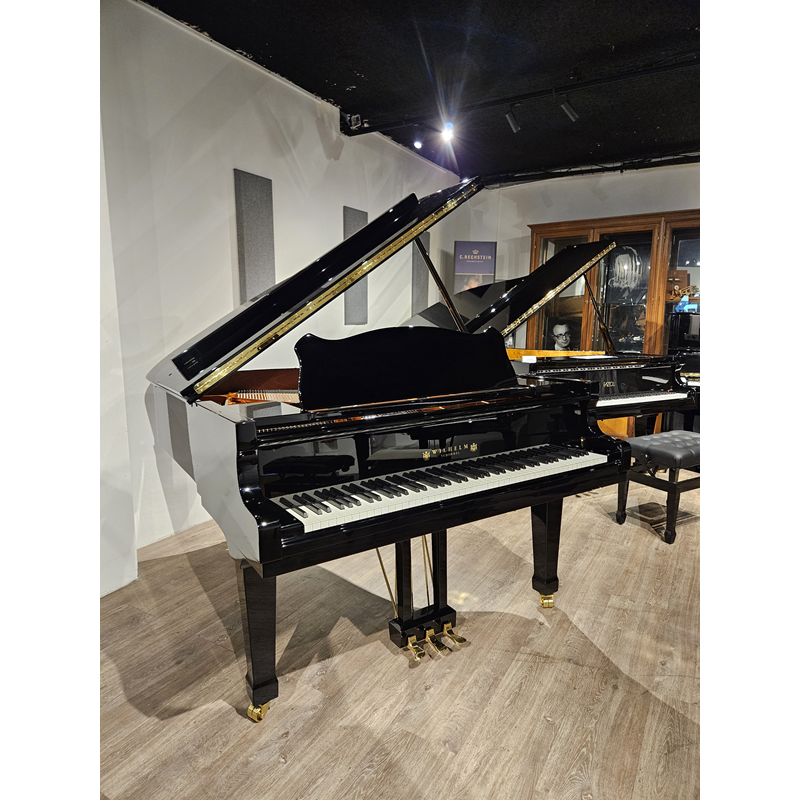 Accueil Wilhelm Schimmel modèle W180 T - 3